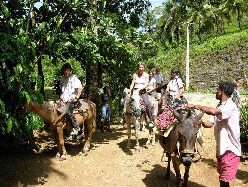 Cascada El Limon Tour in Samana - Horse Back Riding Tour in Samana Dominican Republic.
